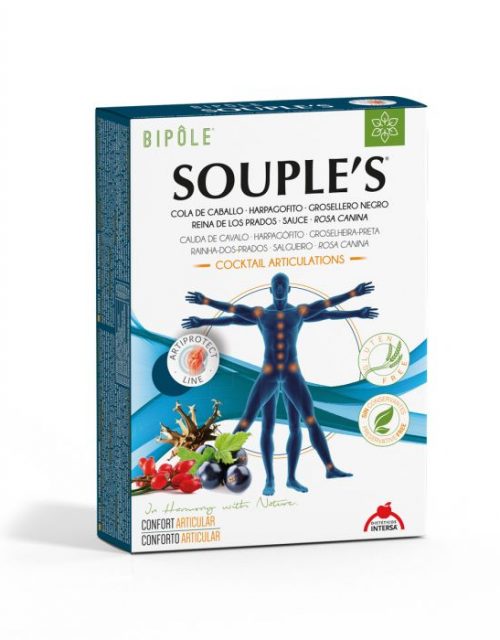 Articulaciones Bipóle